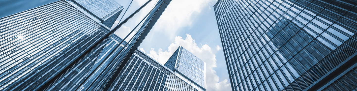 CEO 인사말 대표사진